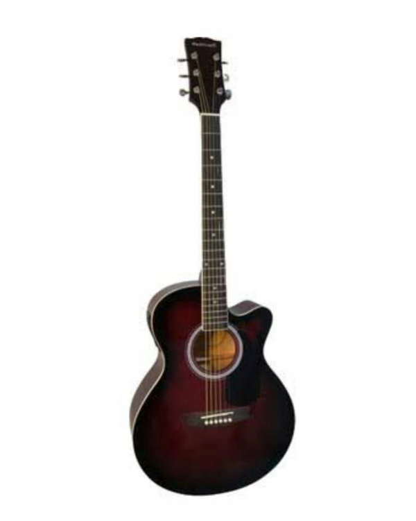 Elektro Akustik Gitarlar