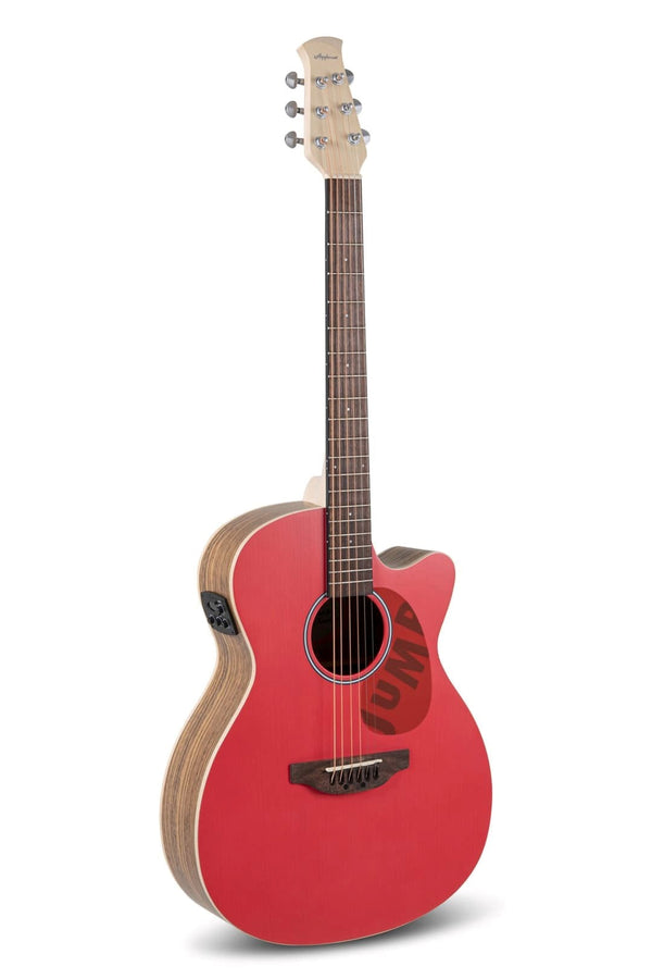 Elektro Akustik Gitarlar