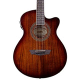 Washburn EA55G Festival Elektro Akustik Gitar 