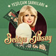 Yeşilçam Şarkıları - Plak