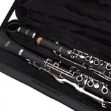 Fox CL100-G Sol Klarnet