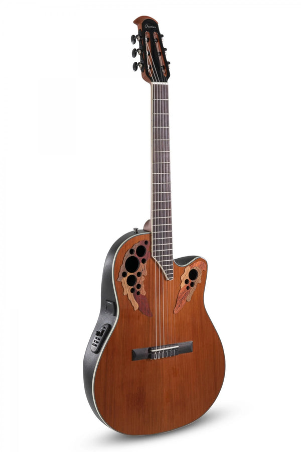 Elektro Klasik Gitarlar